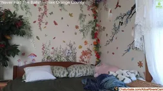 aliceriverscam 2024-10-31 18:47:37