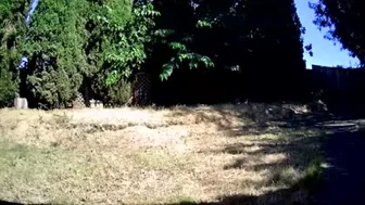 biancaandhubby 2024-07-02 00:01:29