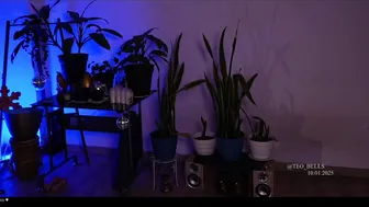 teo_bells cam sex chat porn