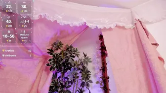 bonniecute_ show - 13 July 2025