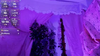 bonniecute_ show - 13 July 2025