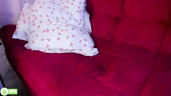 petitemuse porn cam chat 31 May 2026
