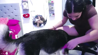 mommy_dulce 03-Jun-26
