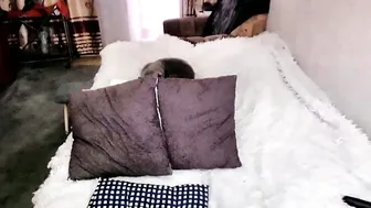 Tviks squirt cam sex porn