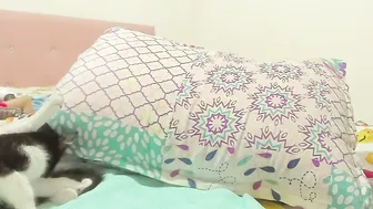 kacha_squit video 06 June 2026