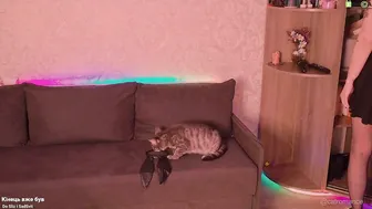 catromance natural - 06-07-2026