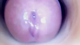 Paulainoscente new video chat porn