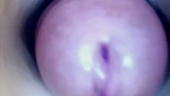 paulainoscente new sex chat cam