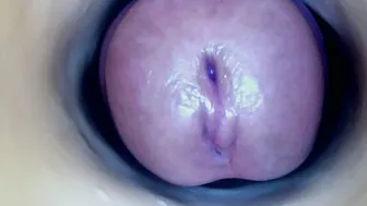 paulainoscente new sex chat cam