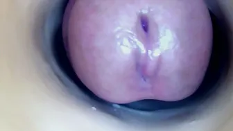 paulainoscente new sex chat cam