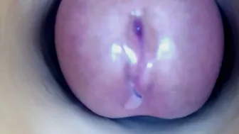 paulainoscente new sex chat cam
