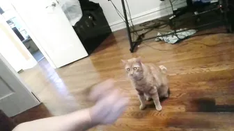 carriemadsin trans cam sex chat