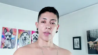 aleja1214 shorthair (07-17-2025)