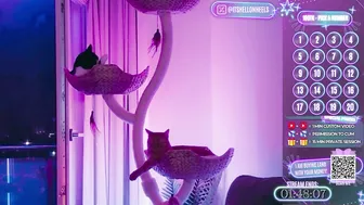Hell_on_heels_ findom 01-Jul-2026