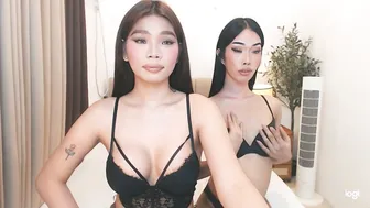 Haisleypalmer asian - (07/04/2026)
