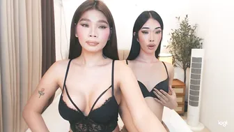 Haisleypalmer asian - (07/04/2026)