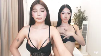 Haisleypalmer asian - (07/04/2026)