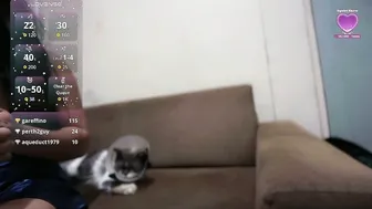 mary_me_babyxx asian porn sex chat