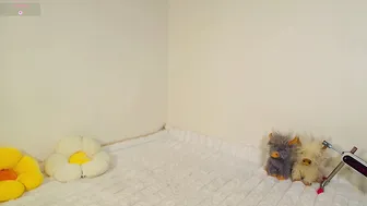 isa_laurentt (07-12-2026) video cam porn