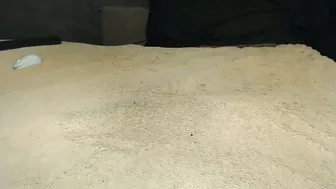 Elgsslt bigtits 07/15/2026
