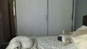 jade_ws erotic stream