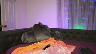 Thatcouplejx bigtits porn video
