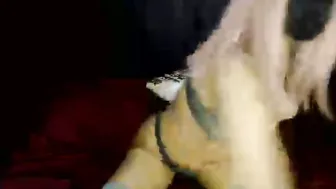 fogbunny anal free cam show
