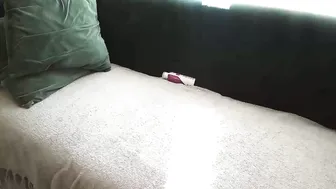 Daddyslittleebony smalltits (08/03/2026)