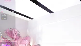 nalapalmer webcam video 06-Aug-26