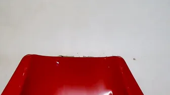 bhadgurl88 recorded nude video 1083524