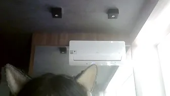 Skinnykittencam 08-08-2026 video