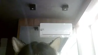 Skinnykittencam 08-08-2026 video
