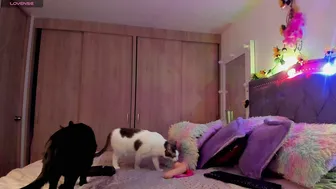 Liahkimi chat porn video sex cam chat