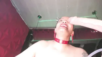 Devil_taylorx bigboobs porn cam chat