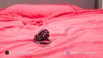 Ava_adora chastity - 08-14-2026