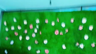 megatitts_ porn cam video 08/16/2026