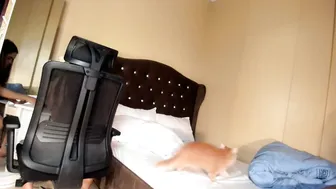 bellaswildcummer bigcock - 08/18/2026
