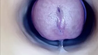 paulainoscente recorded nude video 11886