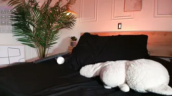 Bella__donne video cam porn cam sex porn