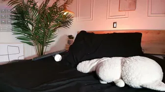 Bella__donne video cam porn cam sex porn