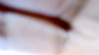 Blueyivy 09/02/2026
