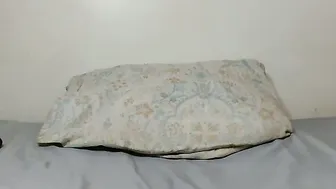 bianca_lue anal porn chat video