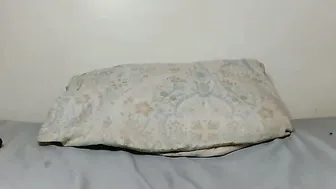 bianca_lue anal porn chat video
