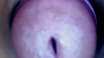 Paulainoscente cum premium porn