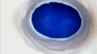 Paulainoscente cum premium porn