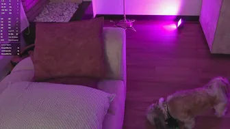 savagesweethearts porn chat video (09-22-2026)