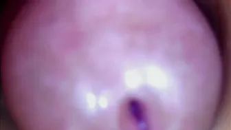 paulainoscente premium porn 23-Sep-2026