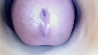 paulainoscente premium porn 23-Sep-2026