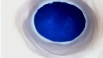 paulainoscente premium porn 23-Sep-2026