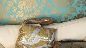camila_royale_ recorded nude video 1138113